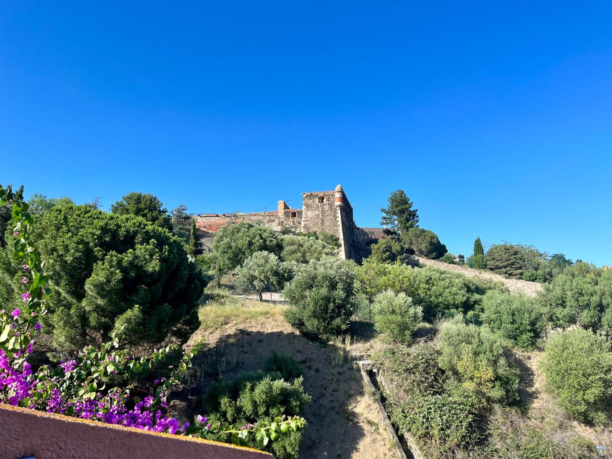 Appartement Collioure, Grande Terrasse Et Parking ภายนอก รูปภาพ