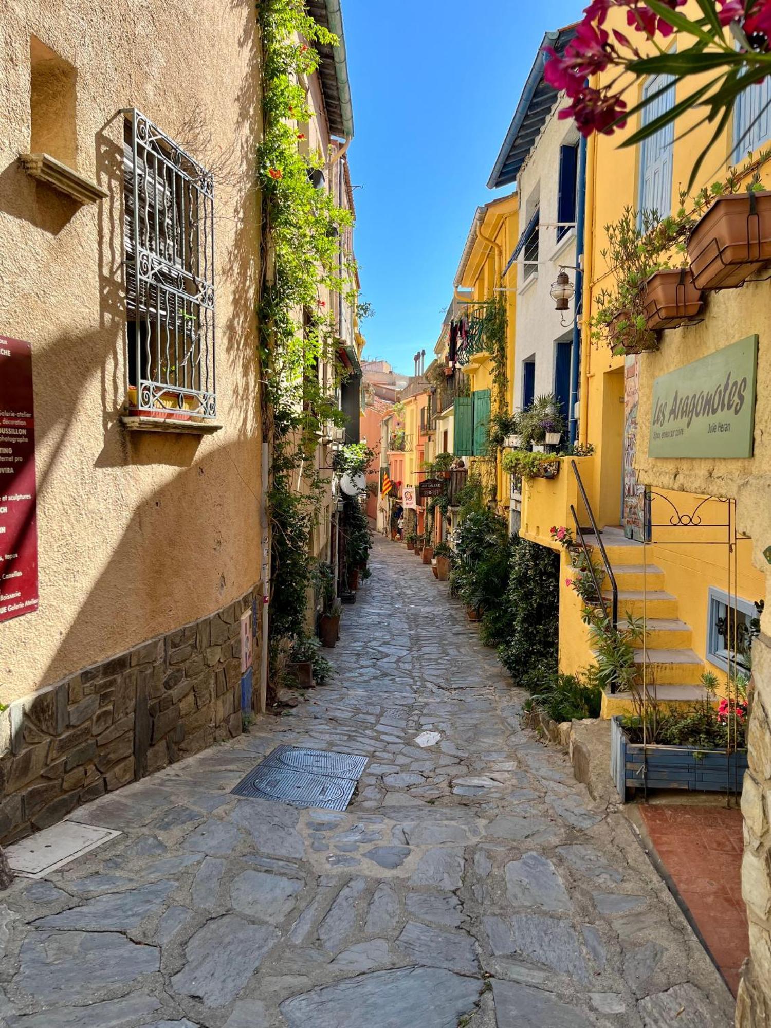 Appartement Collioure, Grande Terrasse Et Parking ภายนอก รูปภาพ